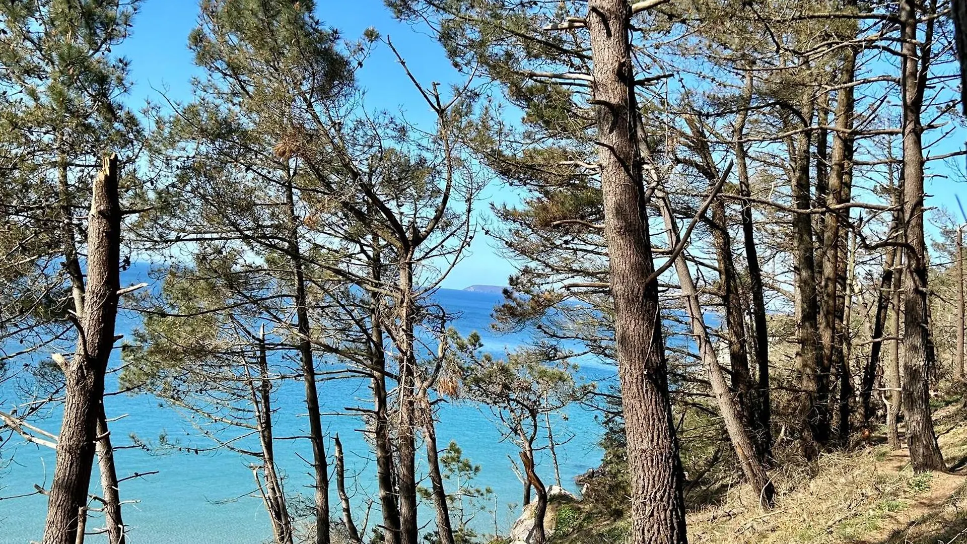 Les Sternes Bed and Breakfast Telgruc-sur-Mer