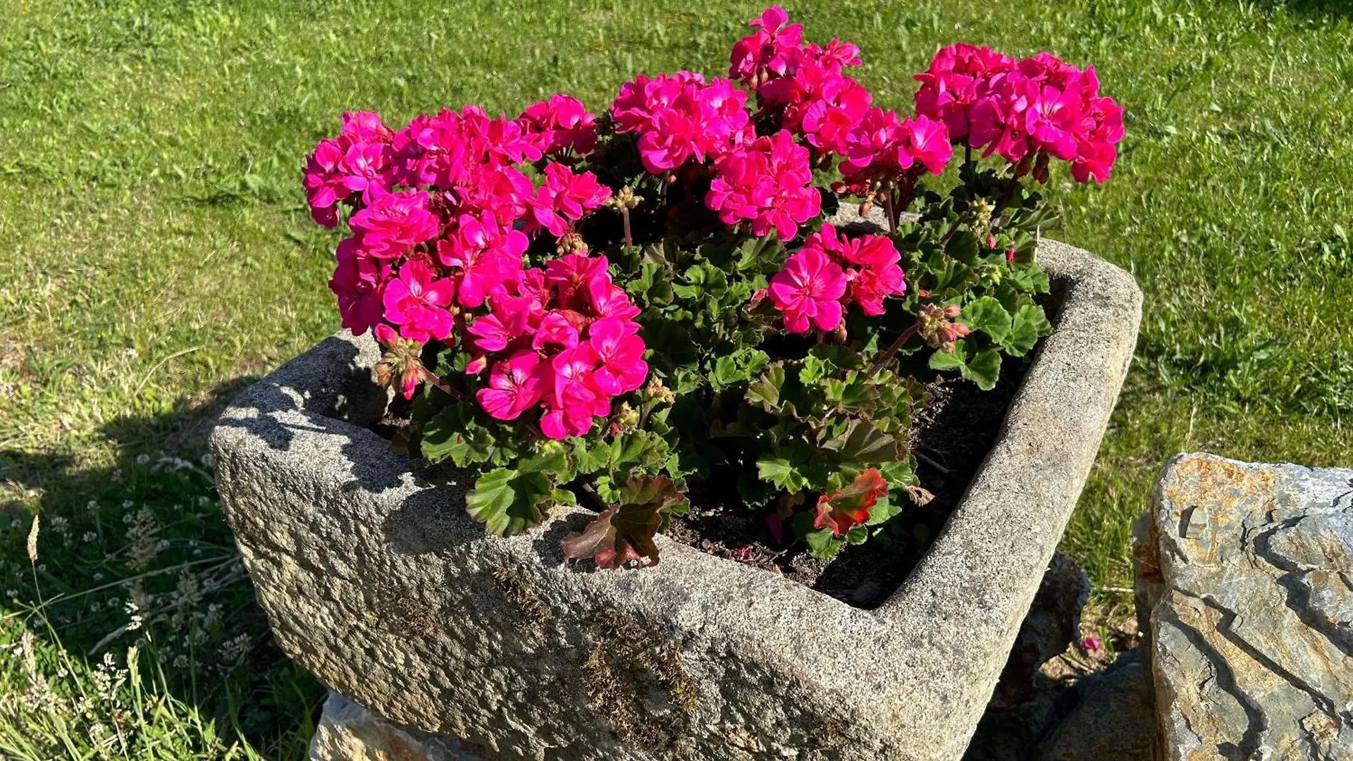 Les Sternes Panzió Telgruc-sur-Mer Franciaország
